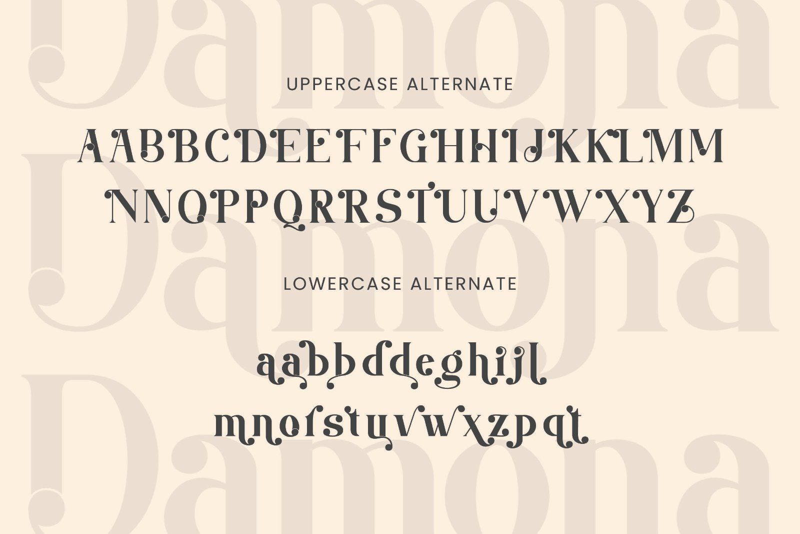 Damona - Modern Serif Font — image 9