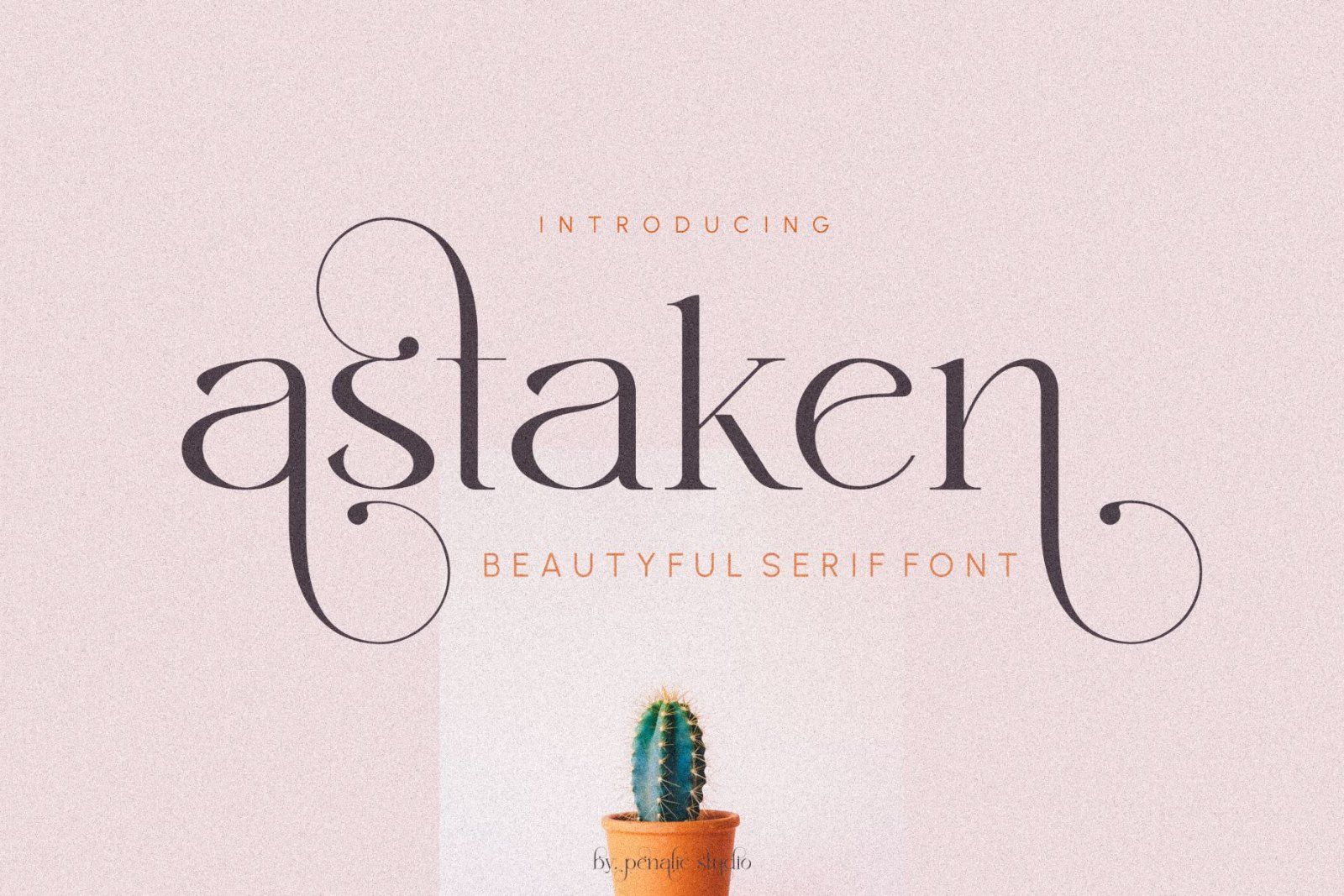 Astaken _ Beautyful Serif Font — image 1