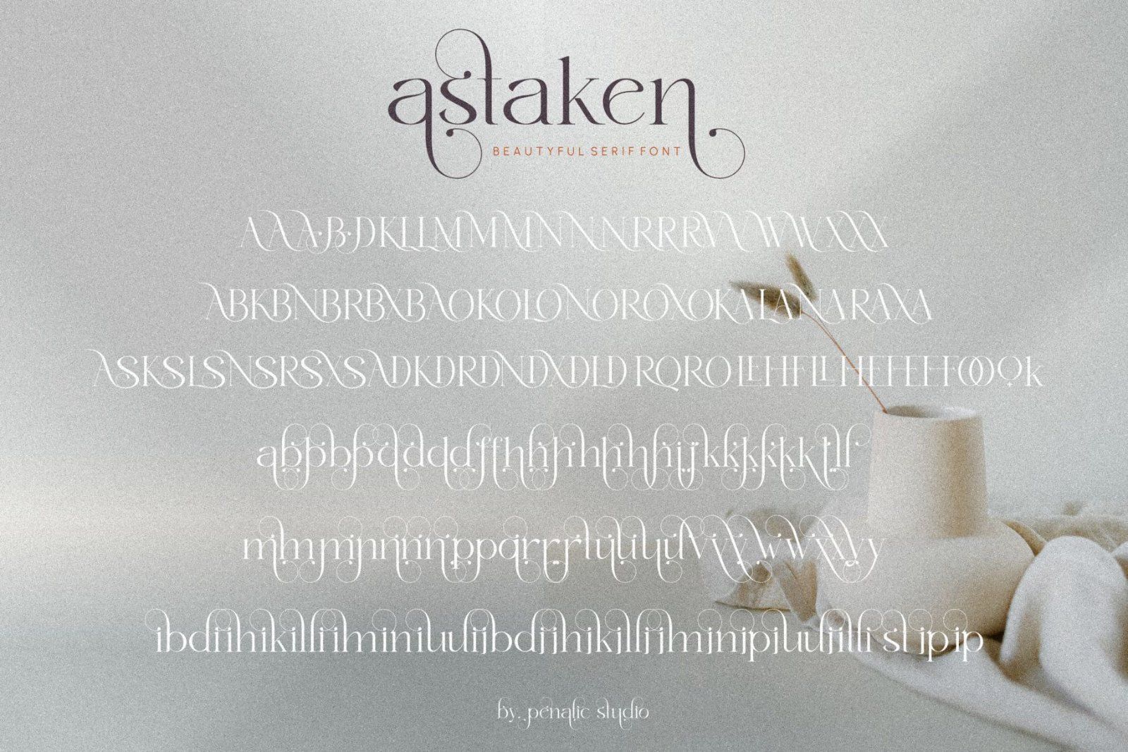 Astaken _ Beautyful Serif Font — image 10