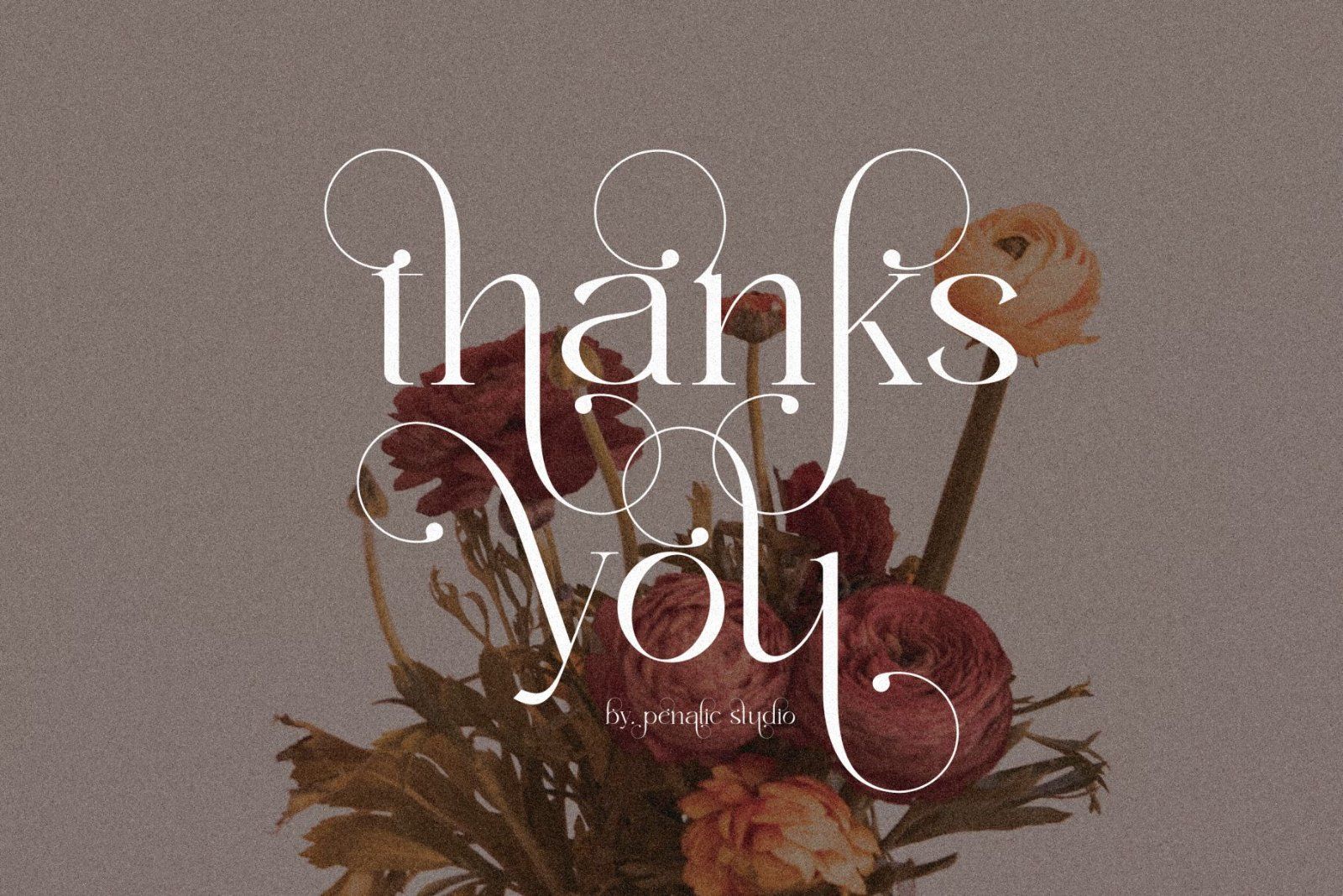 Astaken _ Beautyful Serif Font — image 11