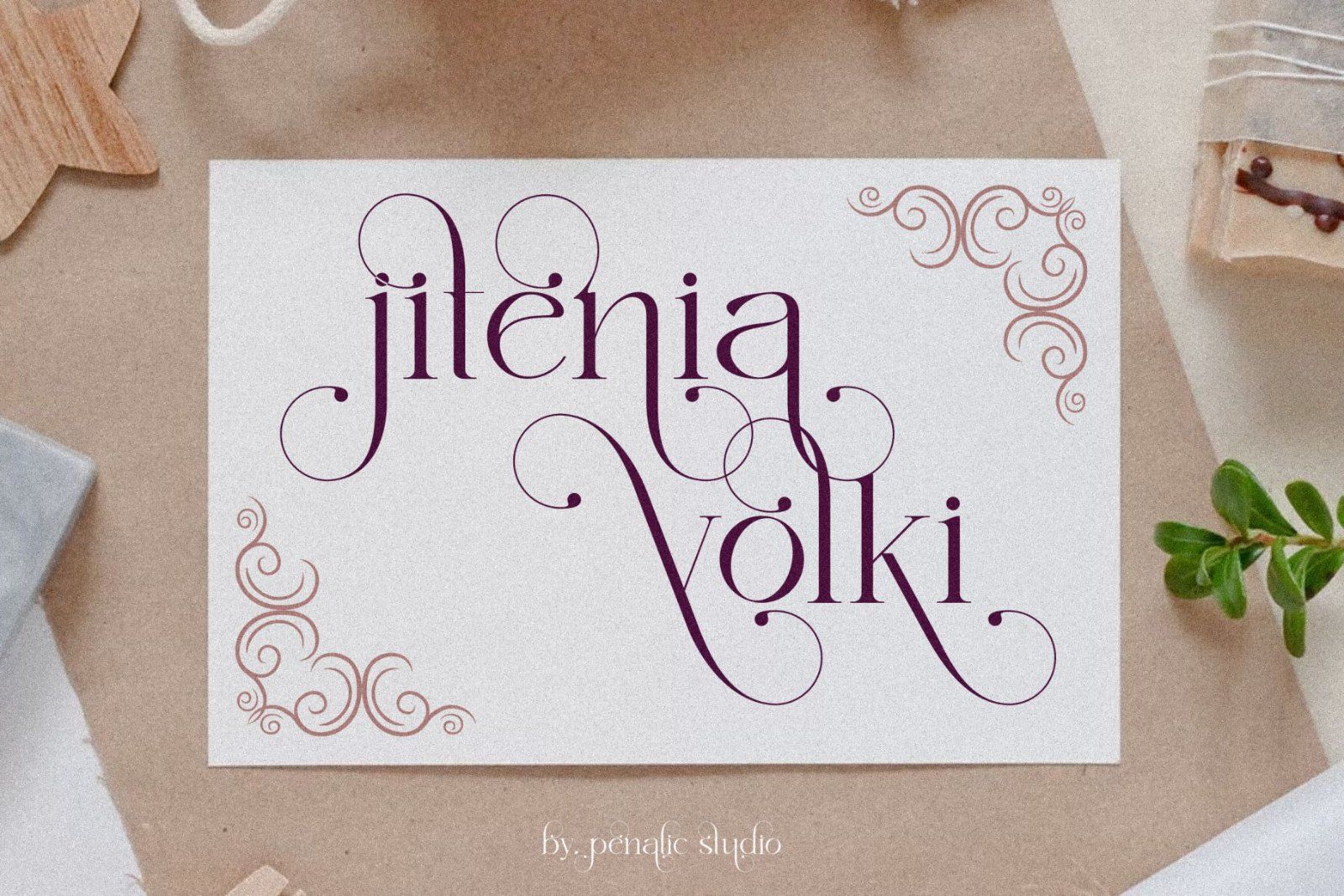 Astaken _ Beautyful Serif Font — image 6