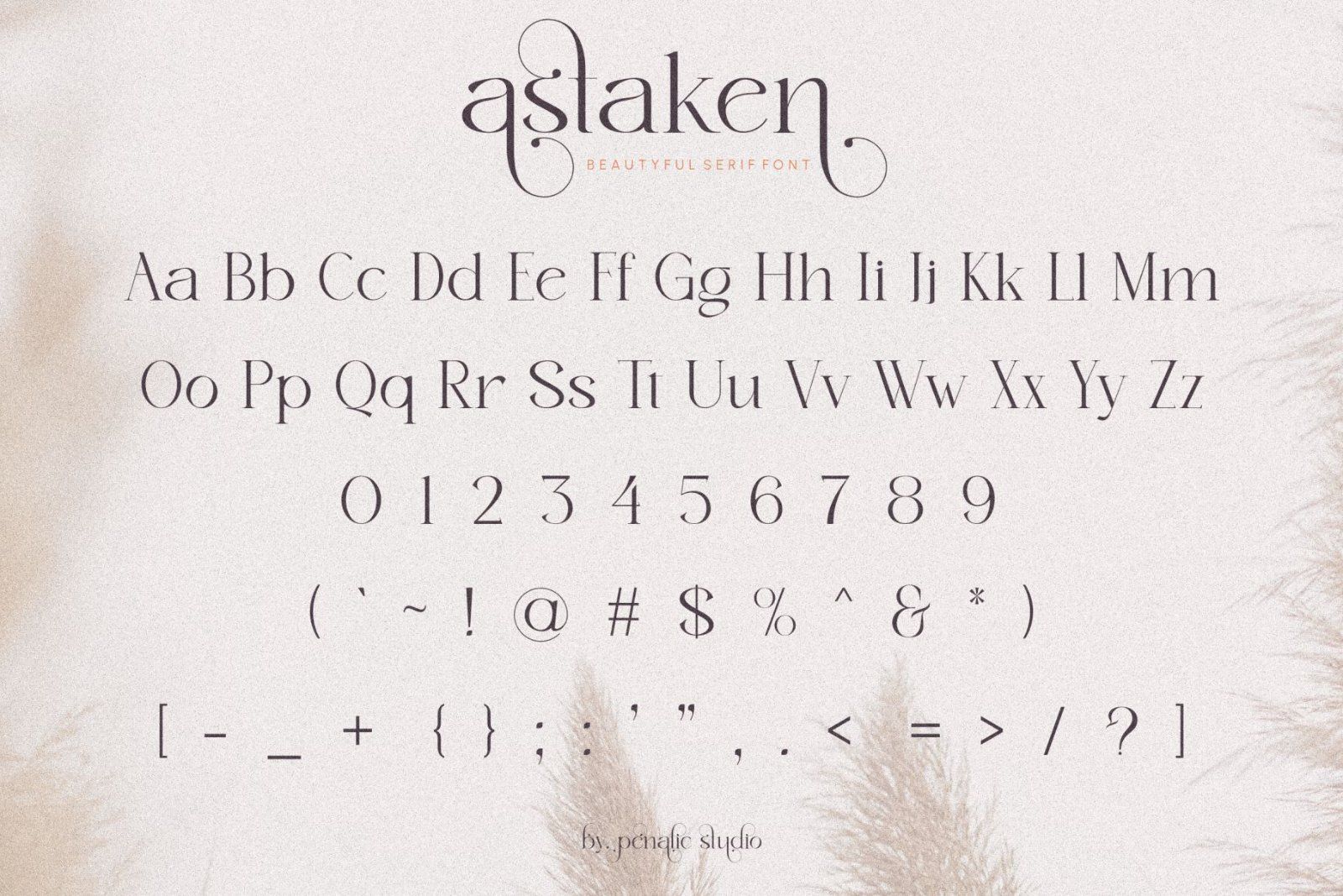 Astaken _ Beautyful Serif Font — image 9
