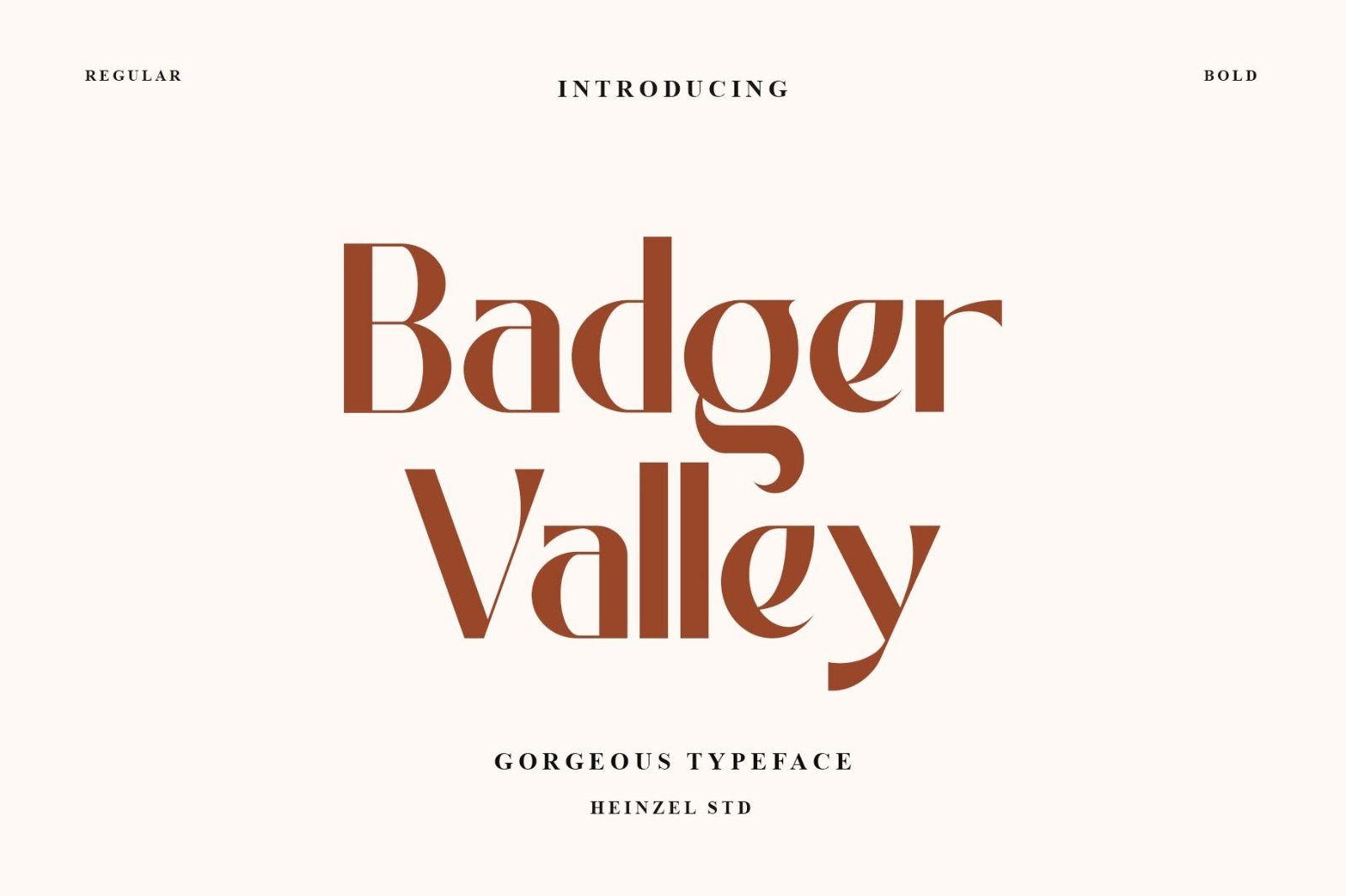Badger Valley — image 1