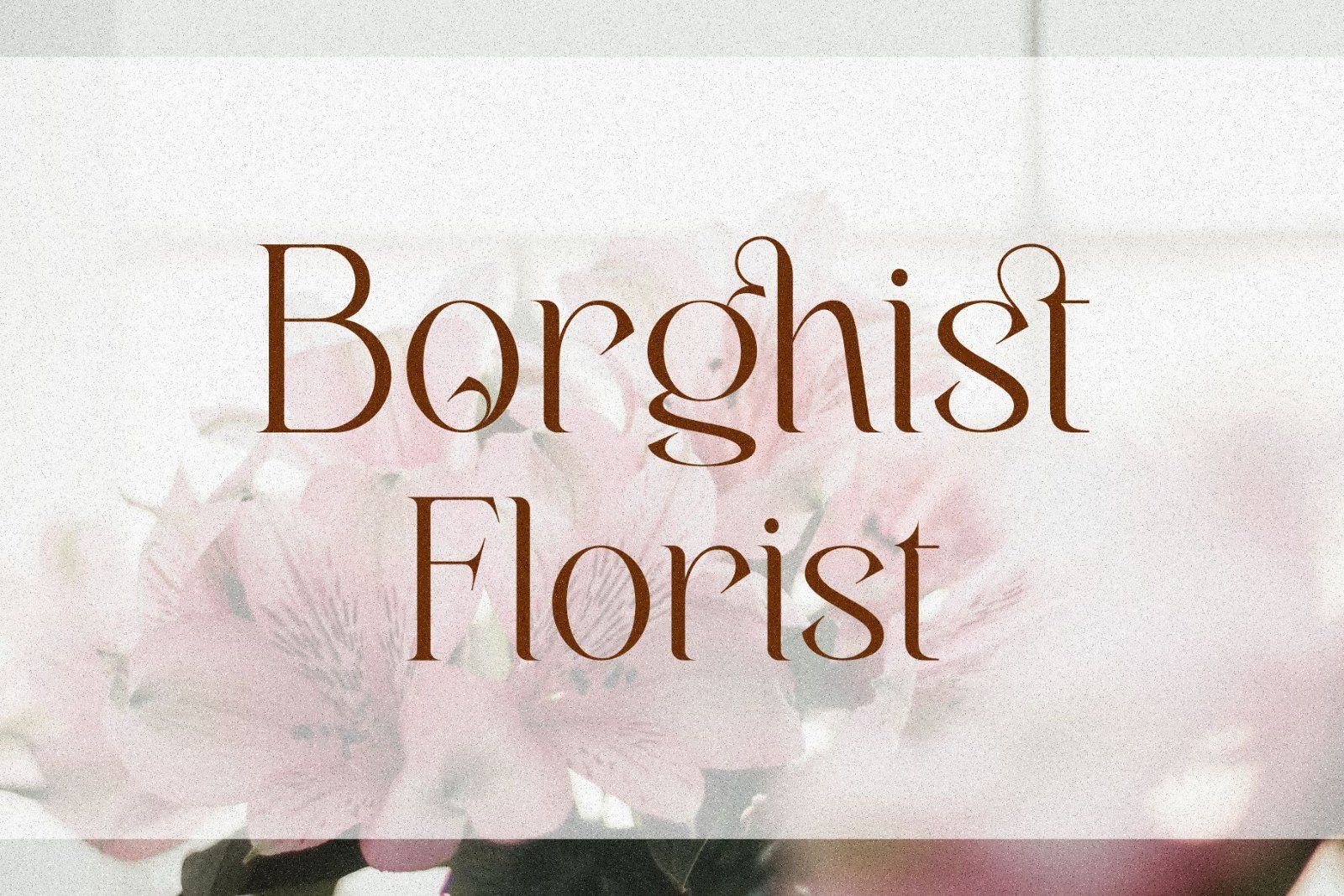 Belarost _ Modern Chic Typeface — image 6