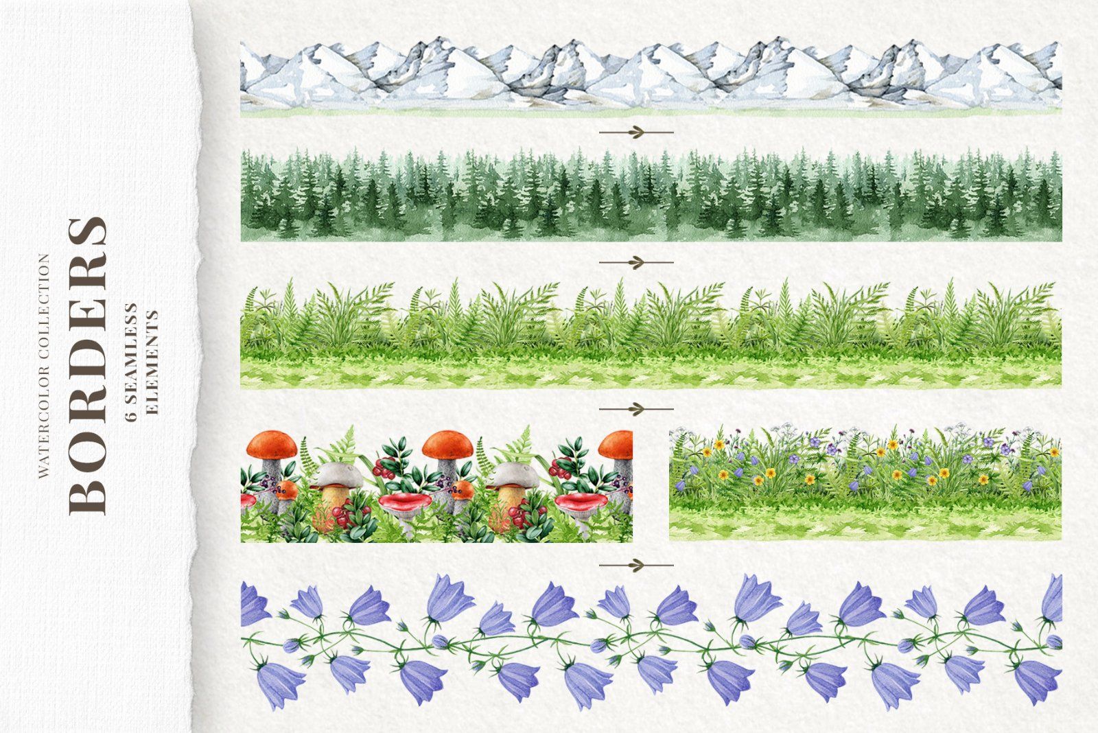 Woodland Animals Watercolor Clipart — image 11