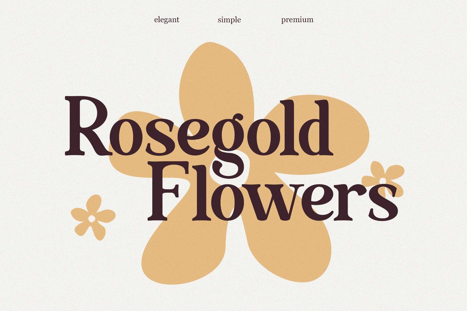 Exclusive Serif Retro Bundle