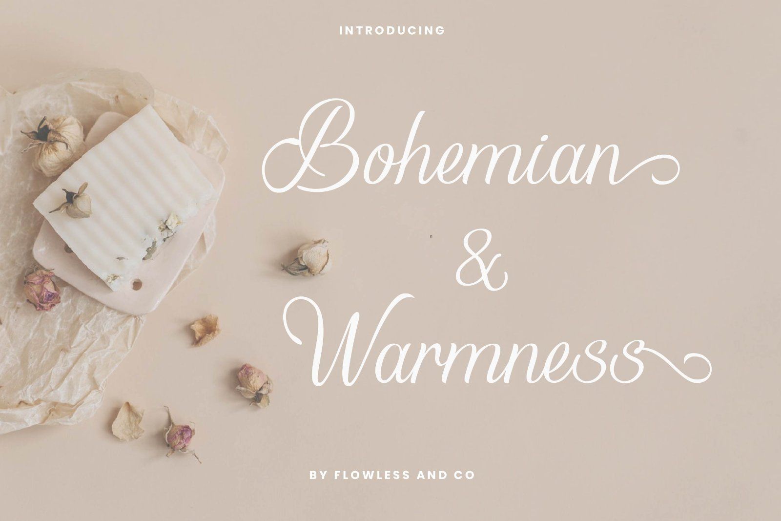 Alvenda - Modern Script Font — image 6