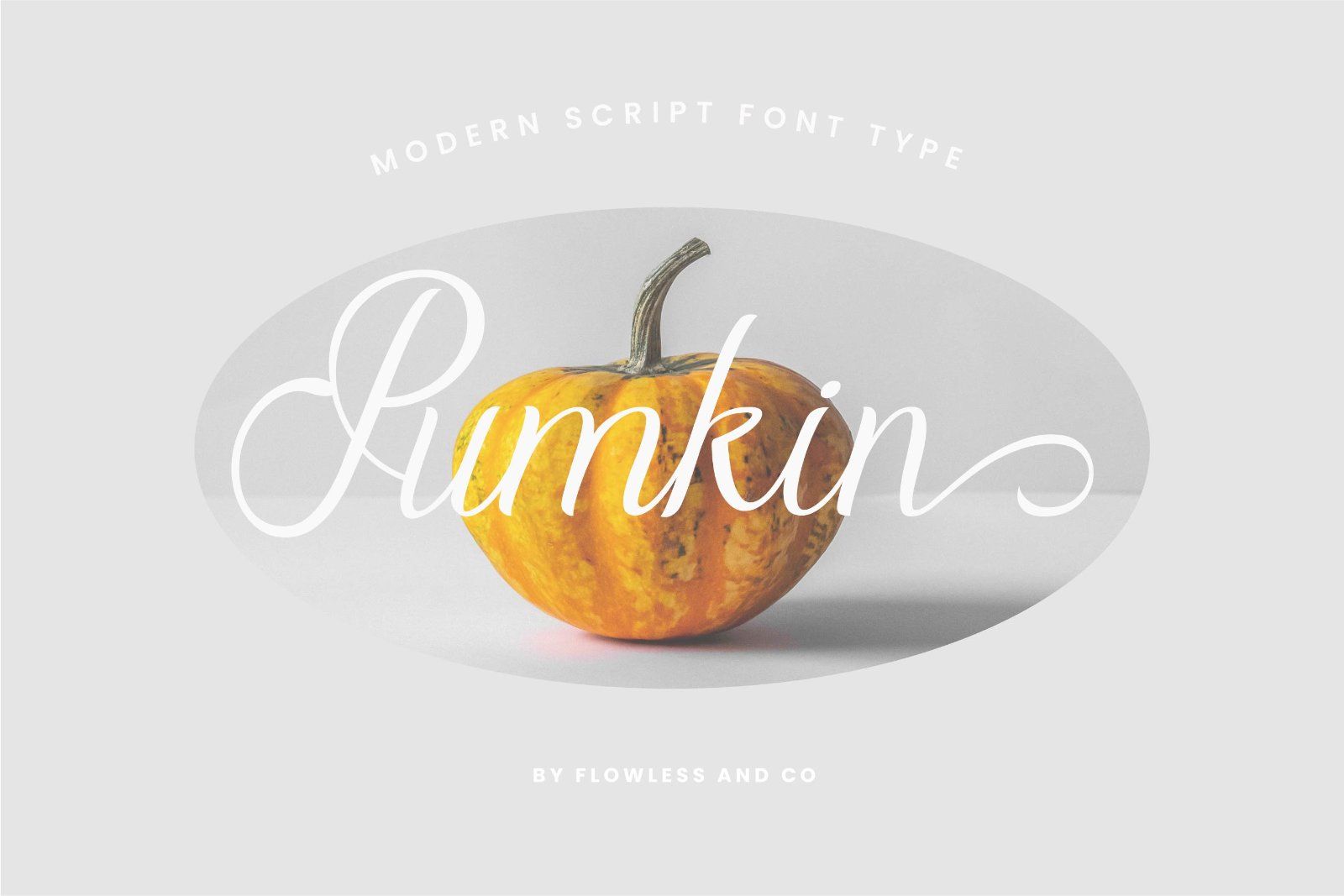 Alvenda - Modern Script Font — image 8