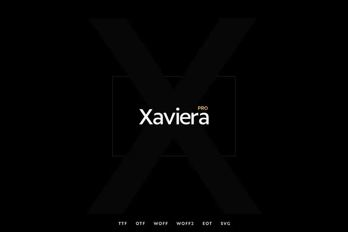 Xaviera Pro — image 4
