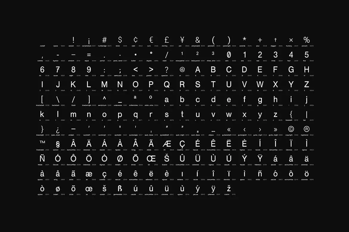 Xenon Nue — image 5