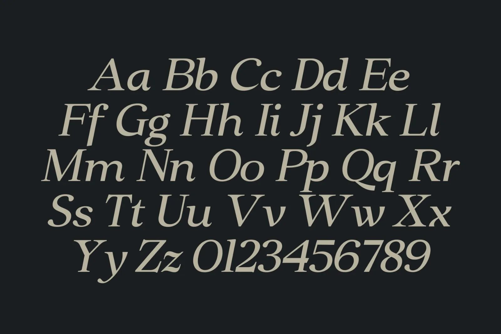Clarton - Elegant Serif Font — image 5