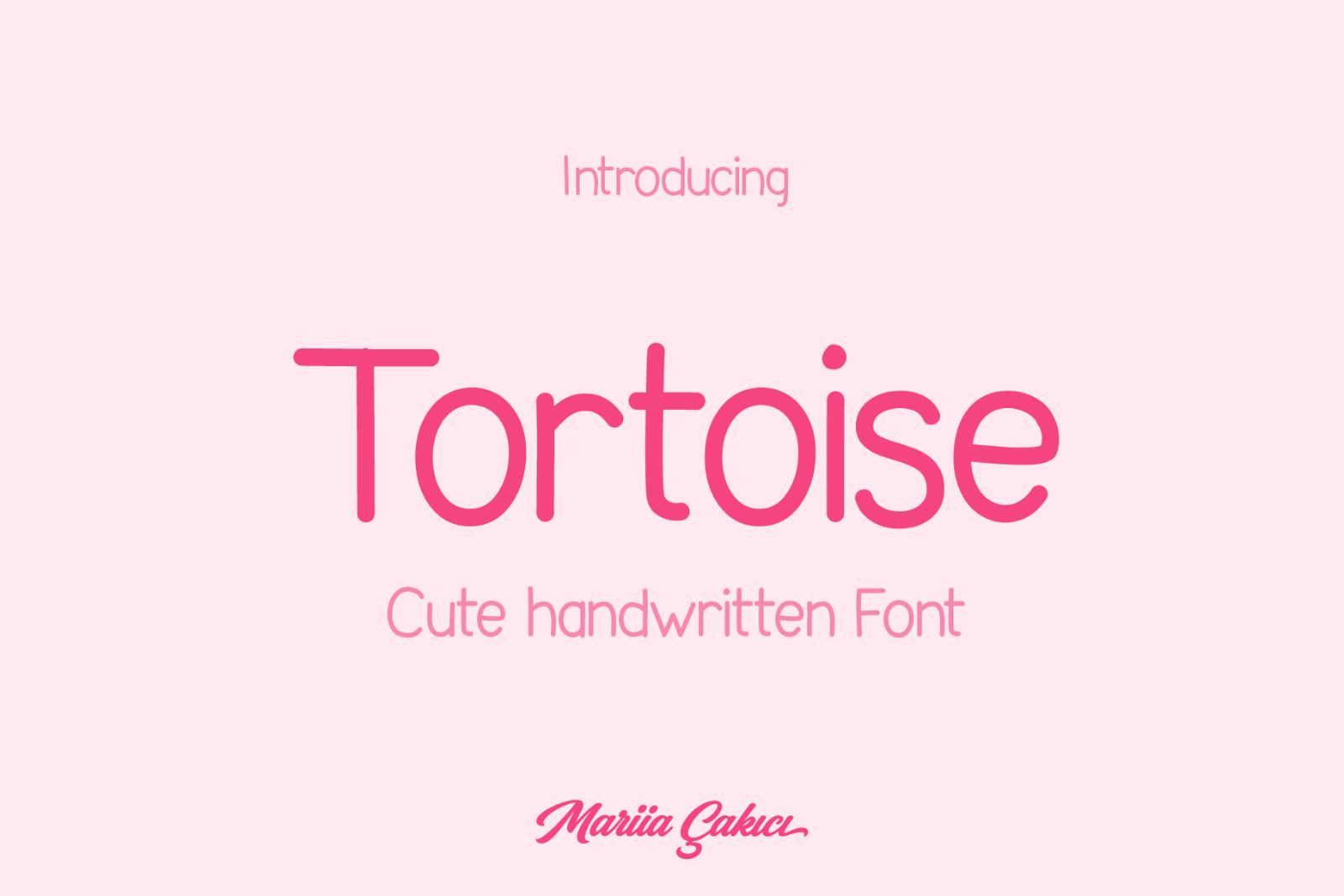 Tortoise Handwritten Font