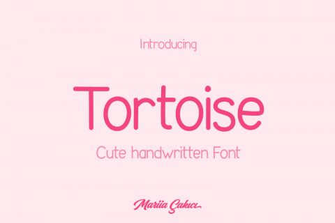Tortoise Handwritten Font