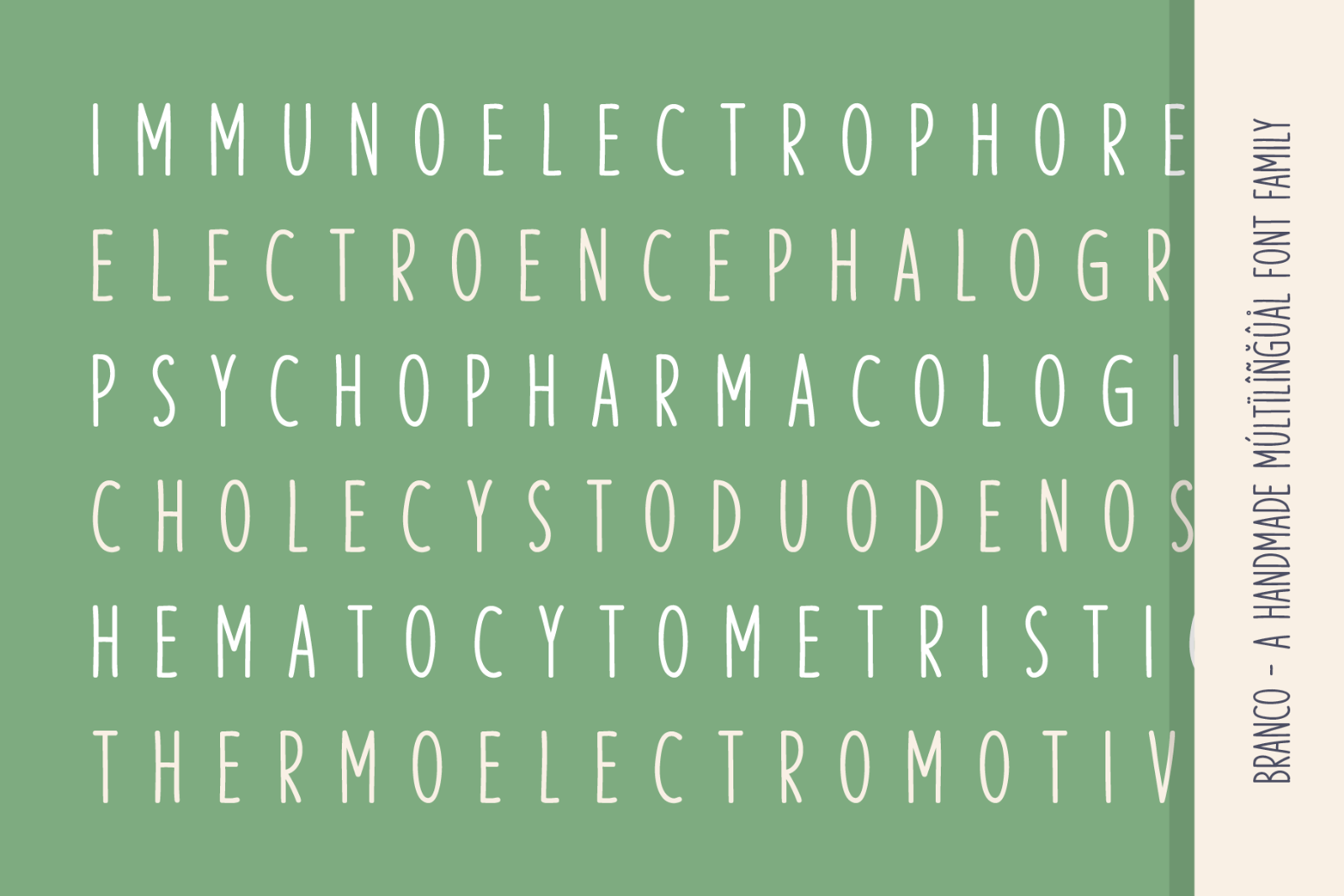 Branco - Múltïlîñgûål Handmade Family