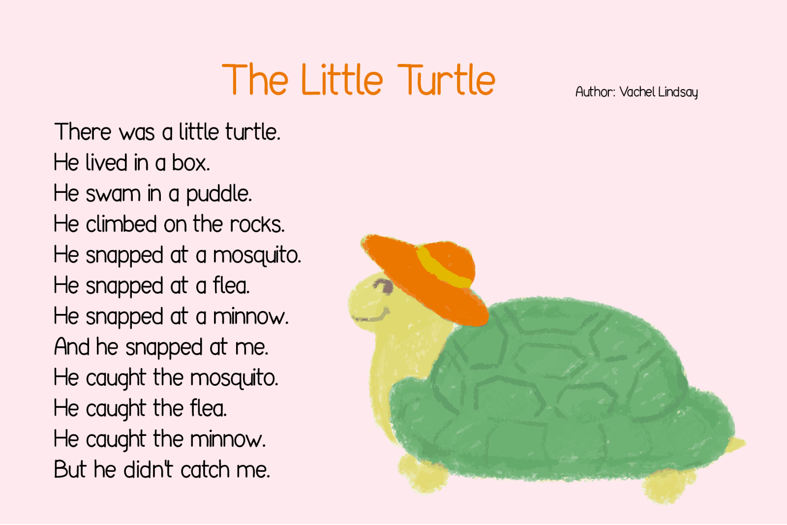 Tortoise Handwritten Font