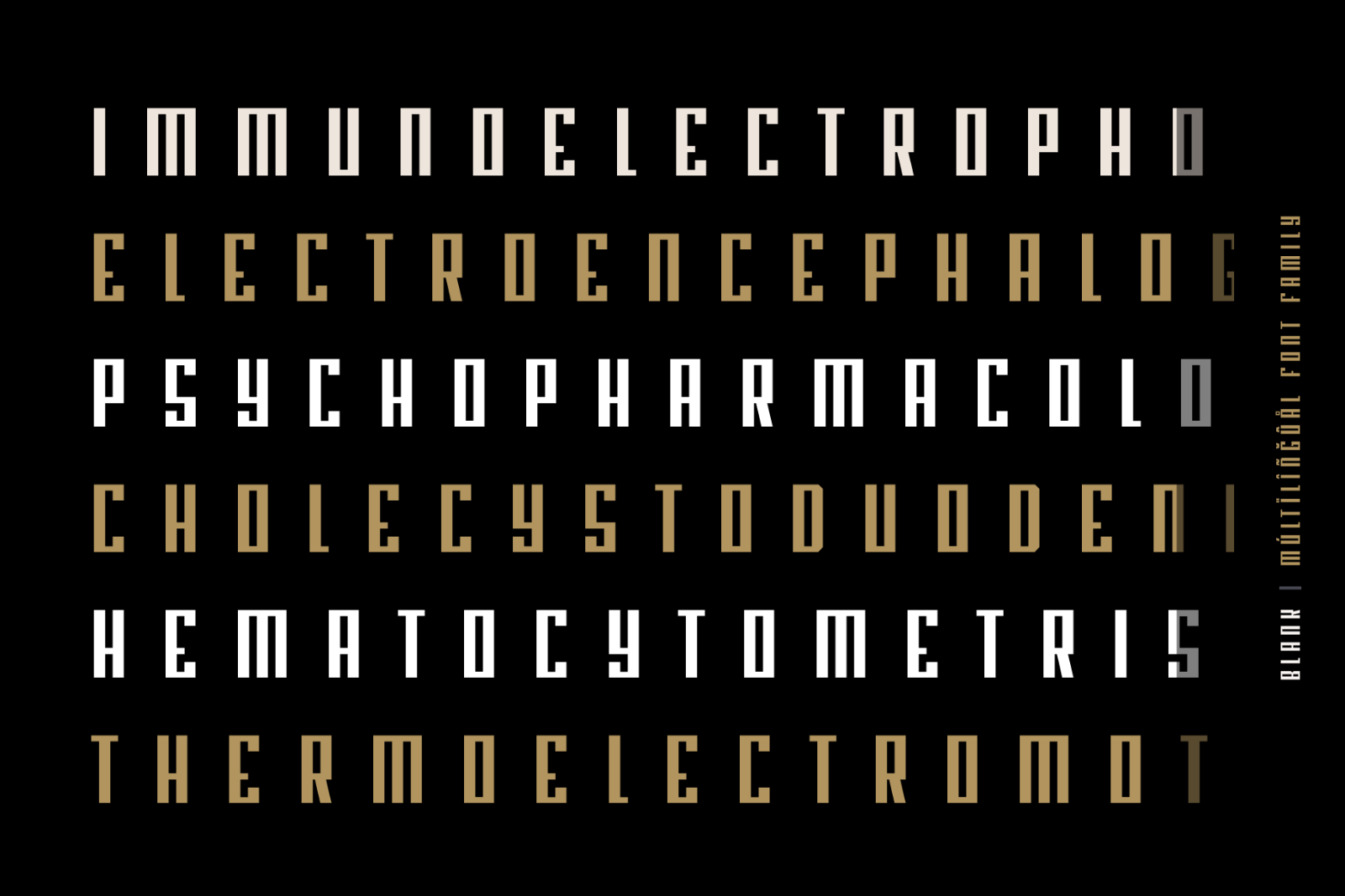 Blank - Modern Font Family - 36 Fonts