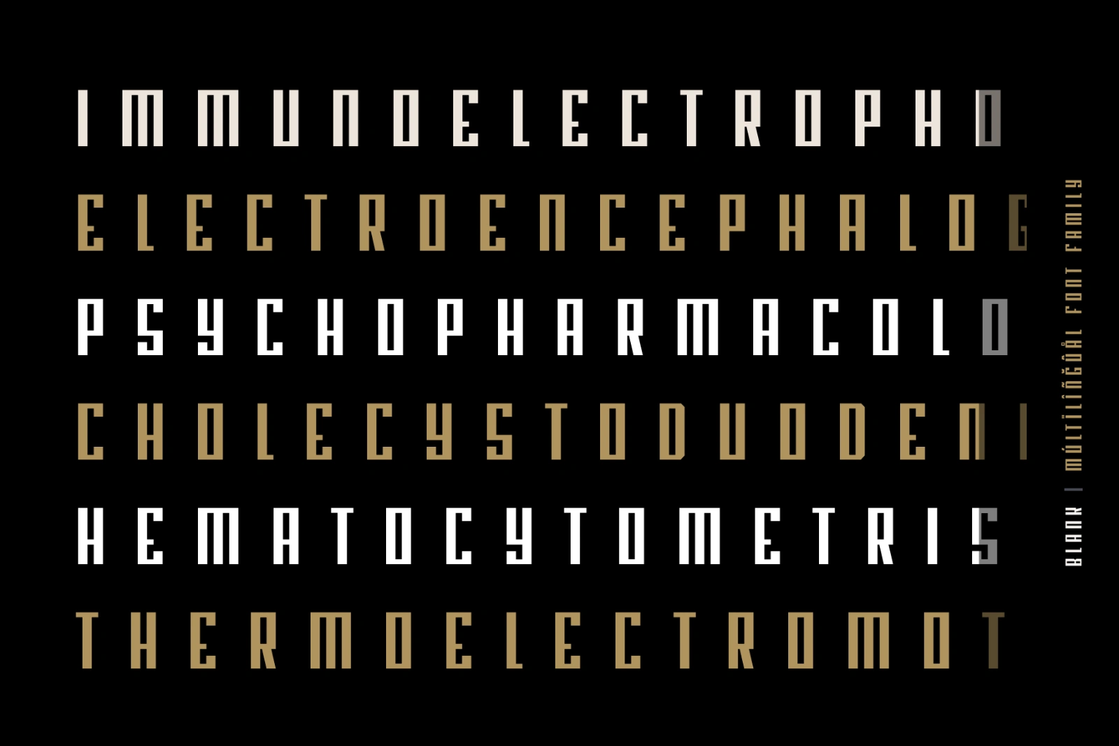 Blank - Modern Font Family - 36 Fonts — image 10