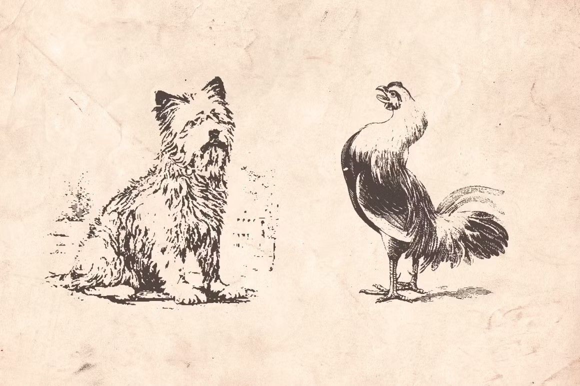 Vintage Animal Farm