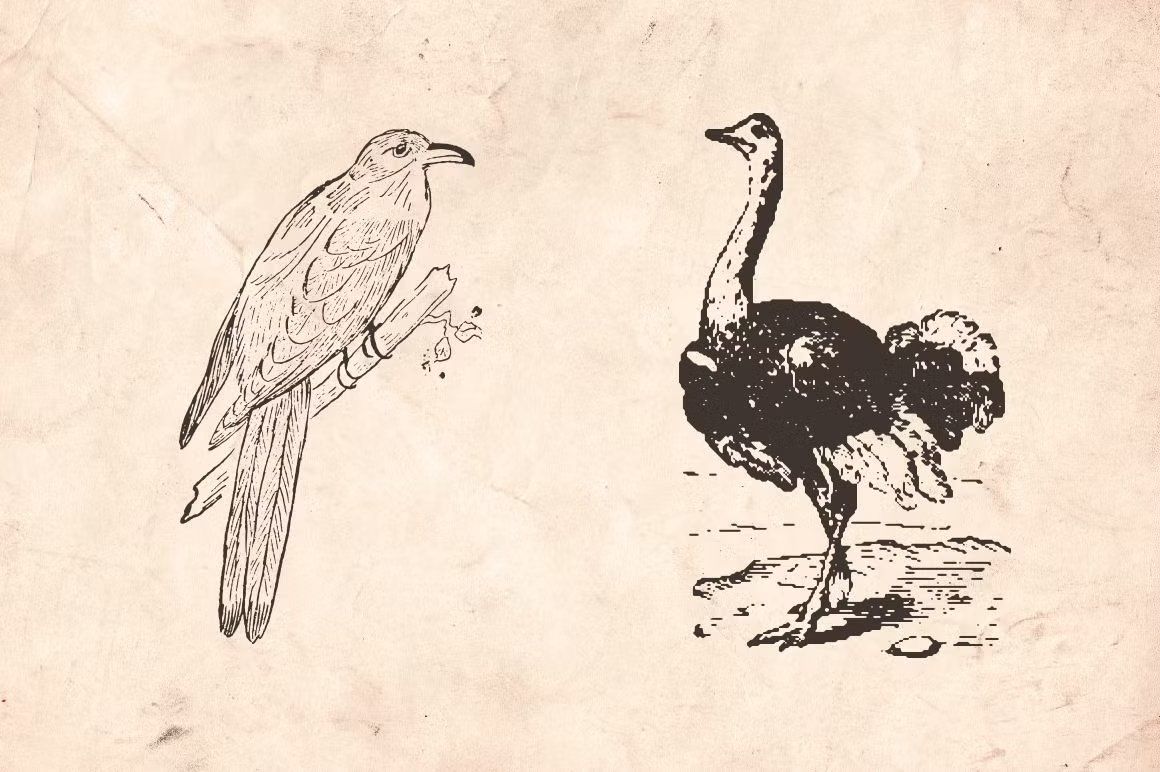 Vintage Animal Farm
