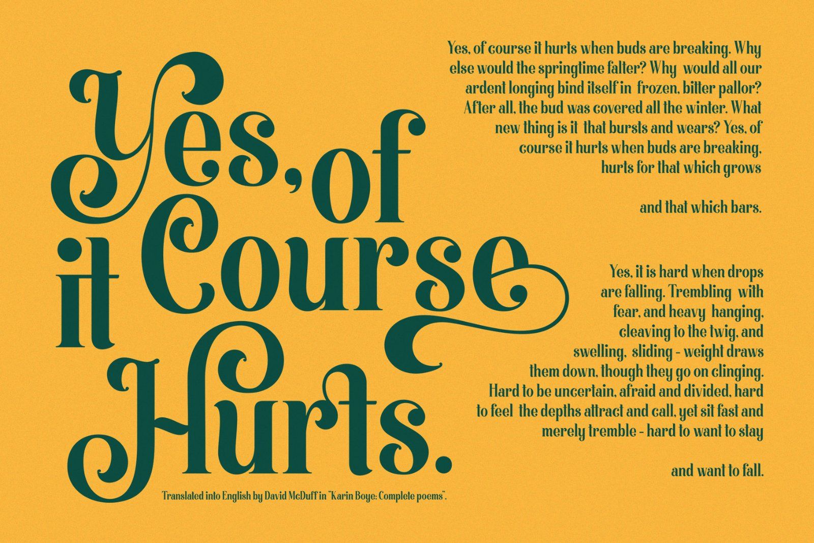 Morthern Font — image 7