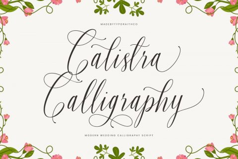 Calistra | Wedding Calligraphy Font