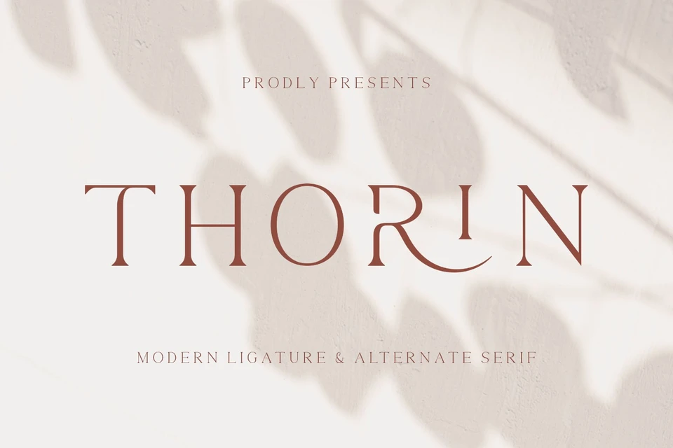 Thorin - Modern Serif Font
