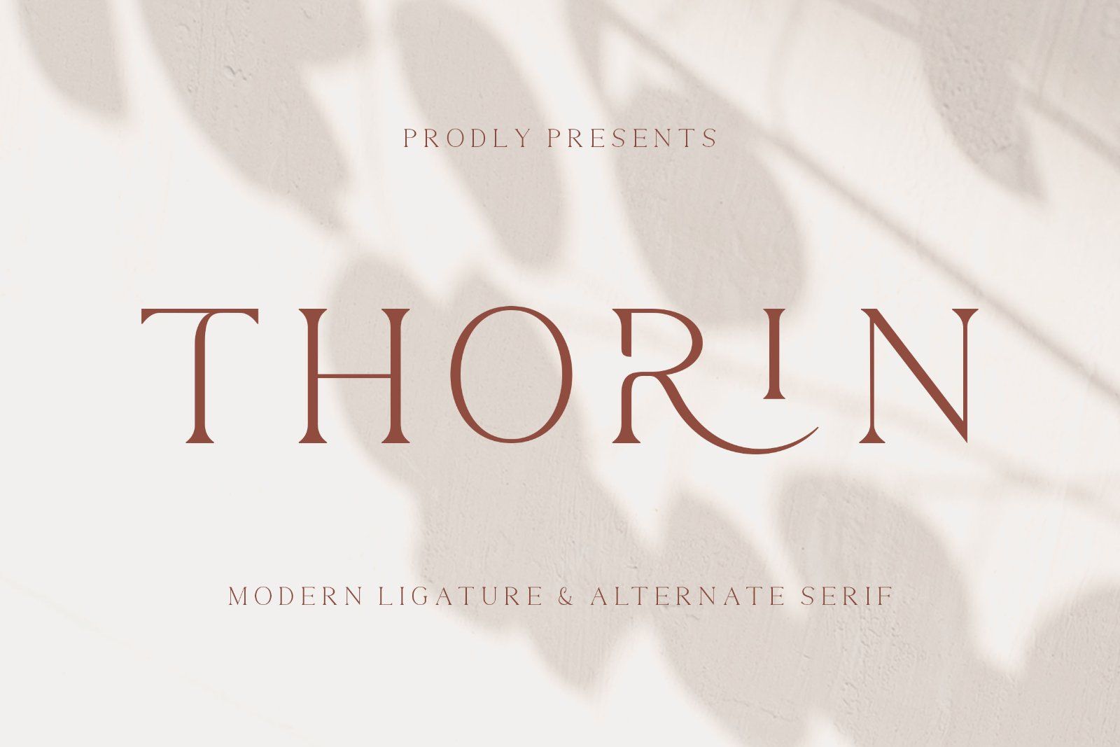 Thorin - Modern Serif Font — image 1