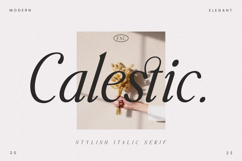 Caletic - Stylish Italic Serif Font