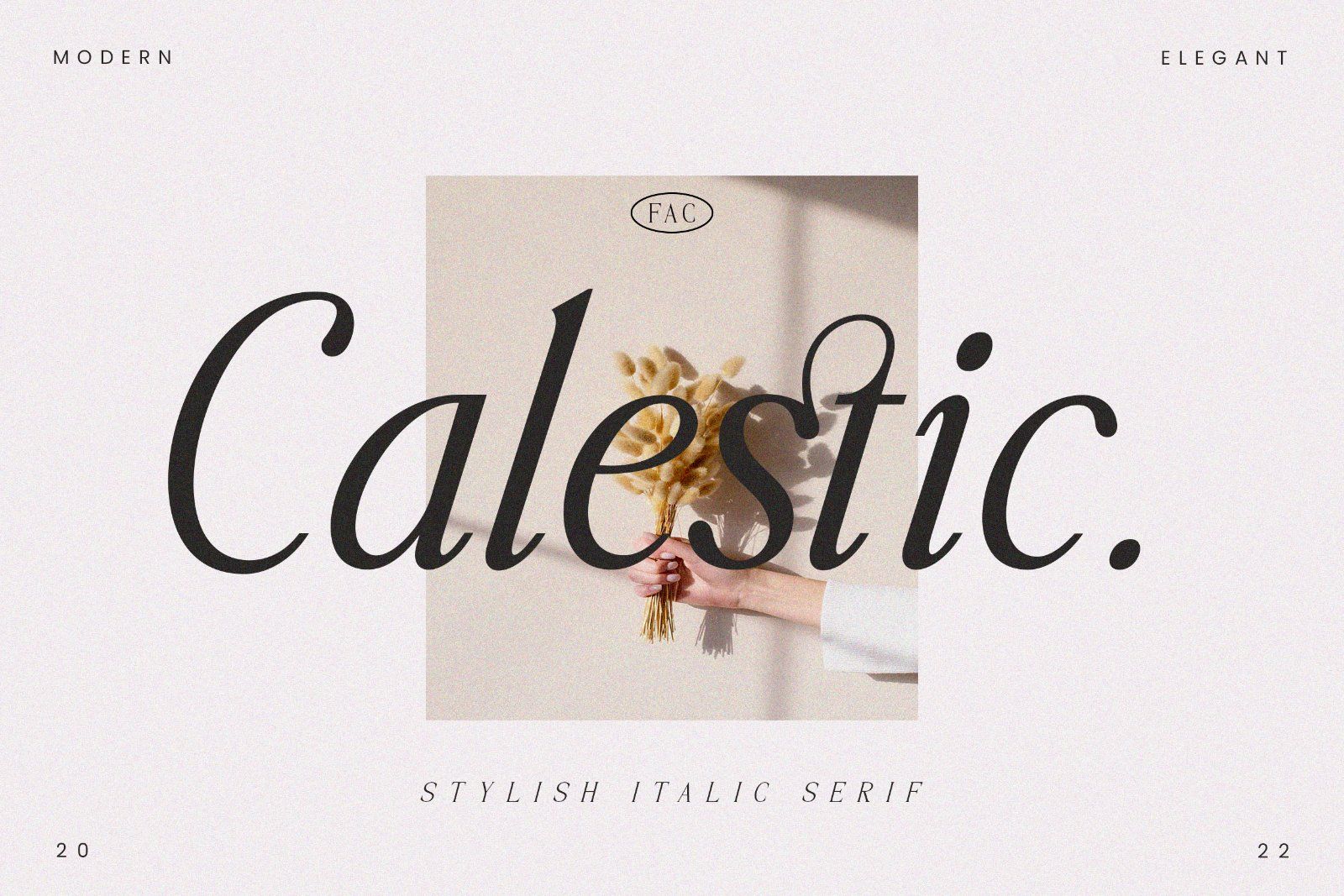 Caletic - Stylish Italic Serif Font — image 1