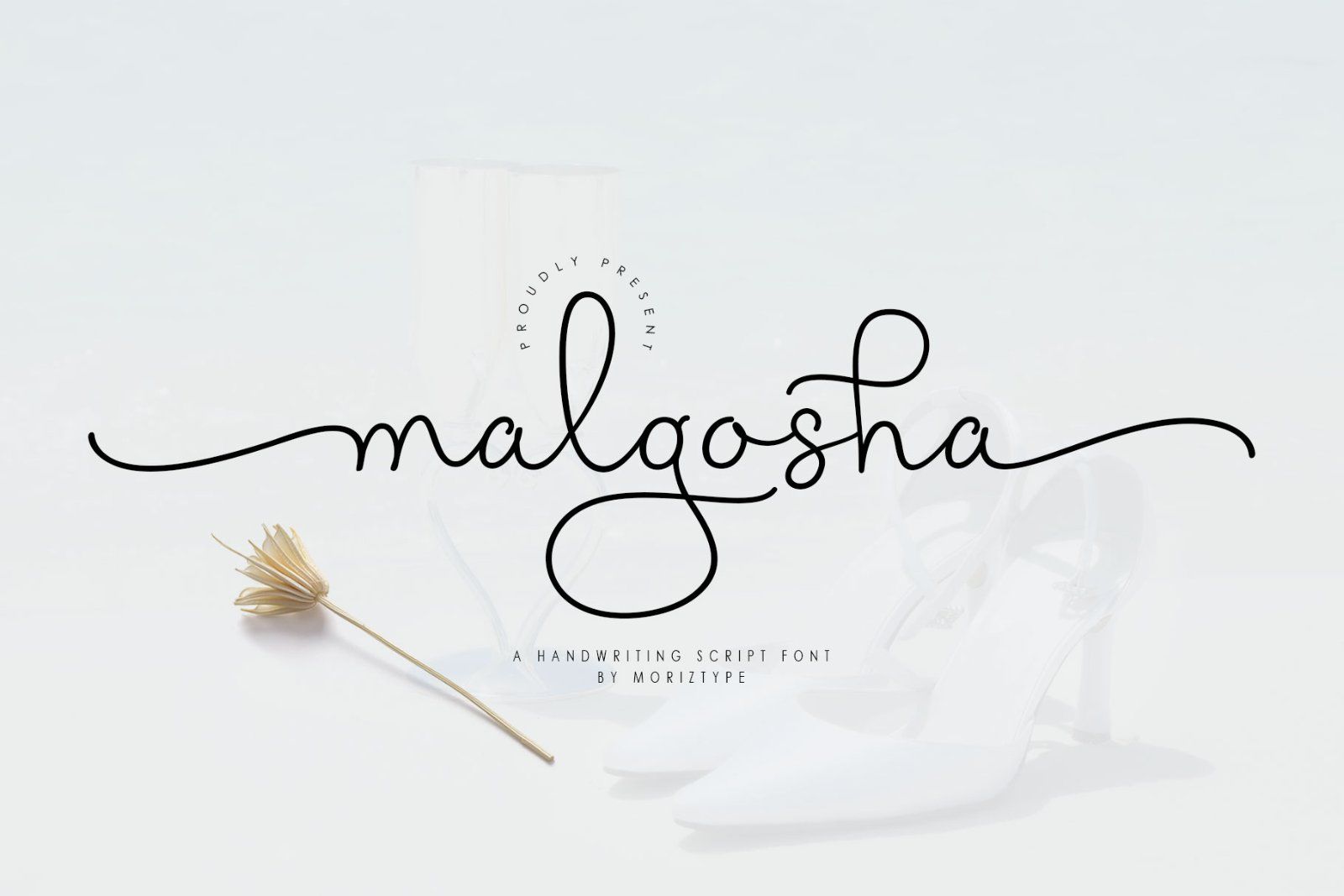 Malgosha Script