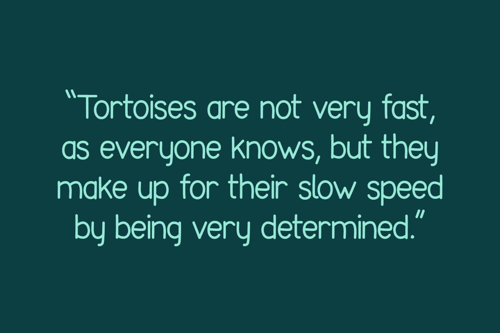 Tortoise - Handwritten Font Family