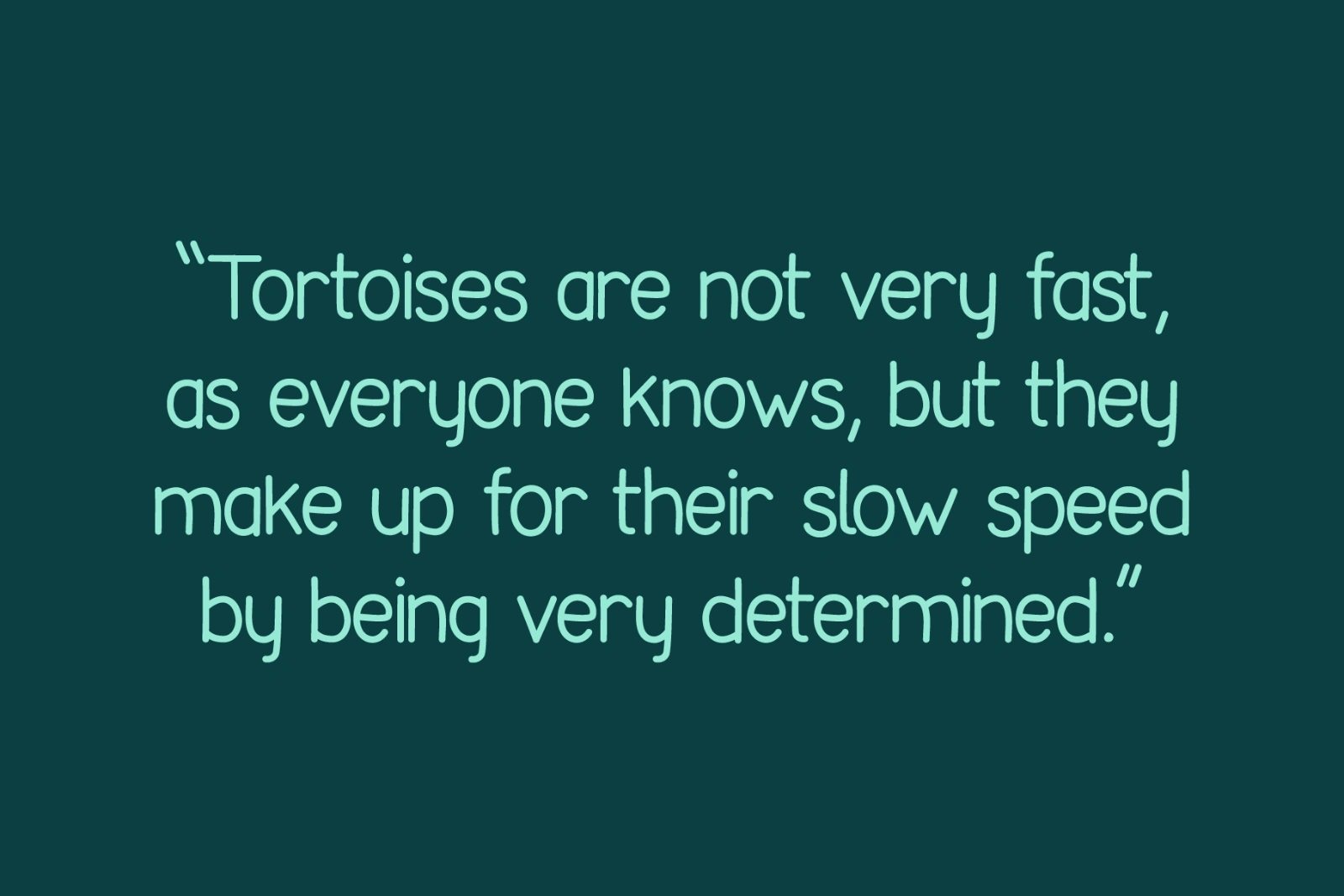 Tortoise - Handwritten Font Family — image 9