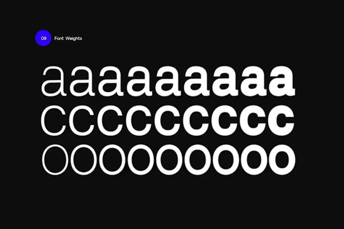 Xenon Nue — image 7