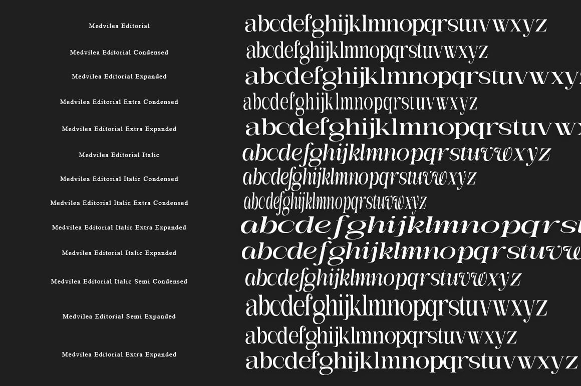Medvilea Editorial | 15 Style Font — image 5