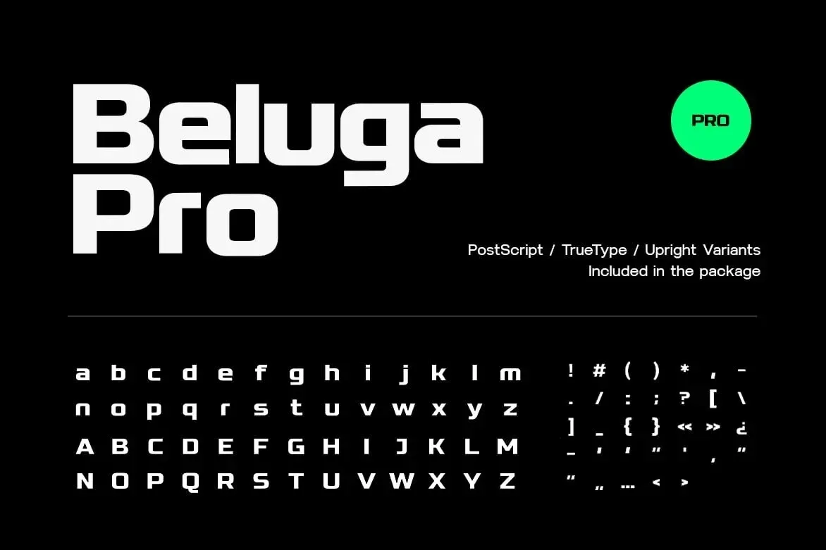Beluga — image 8