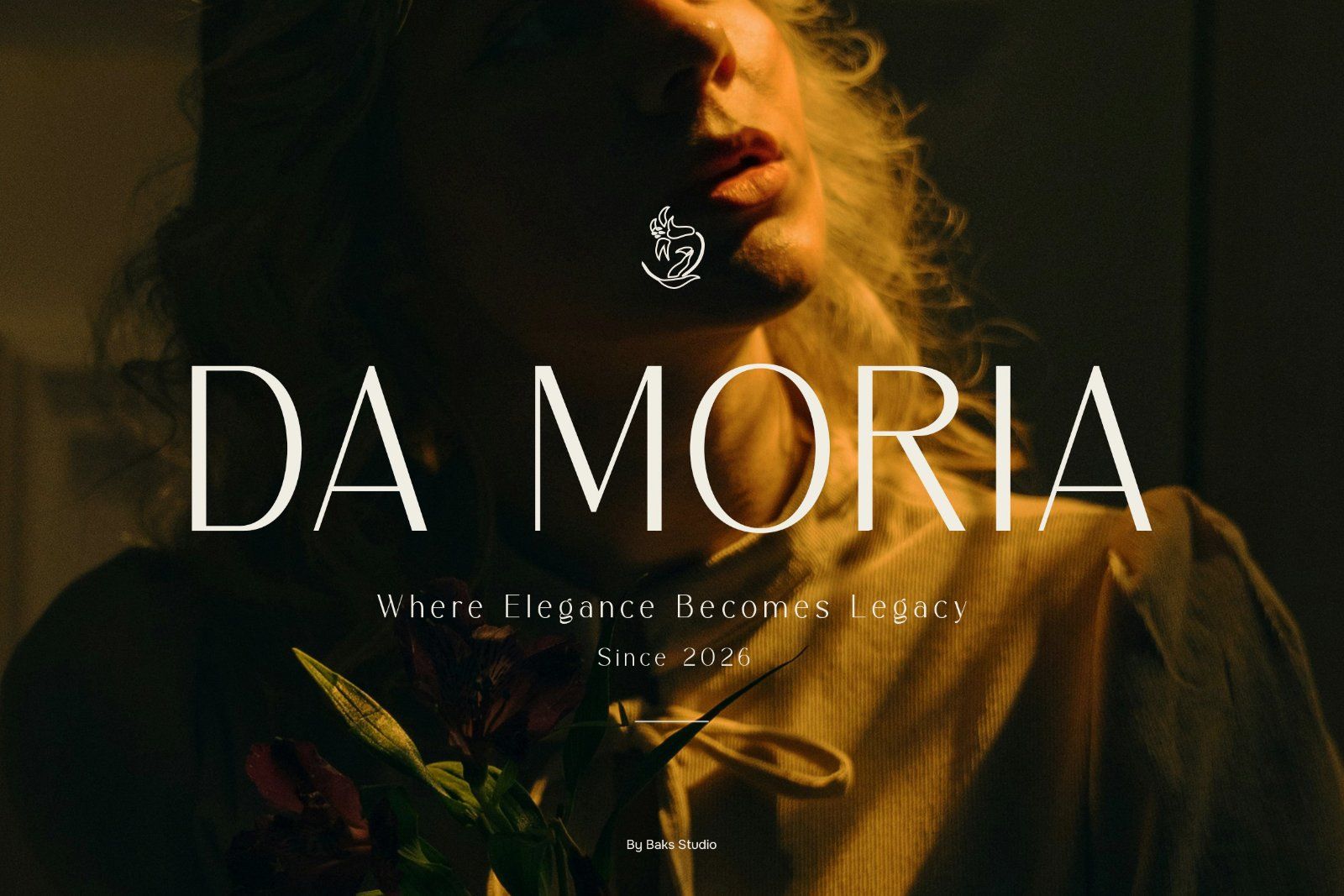 Nerova | Elegant Sans Serif Typeface