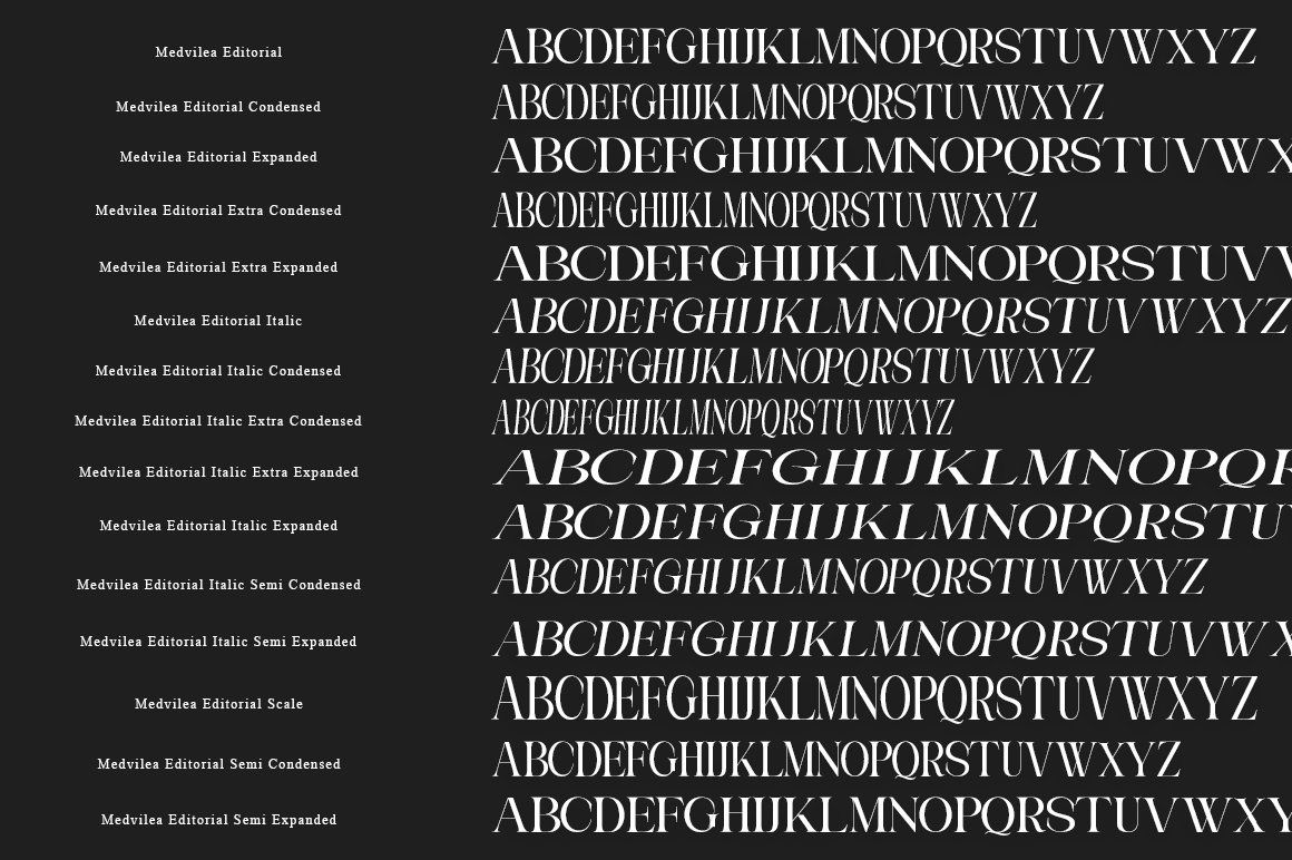 Medvilea Editorial | 15 Style Font — image 6