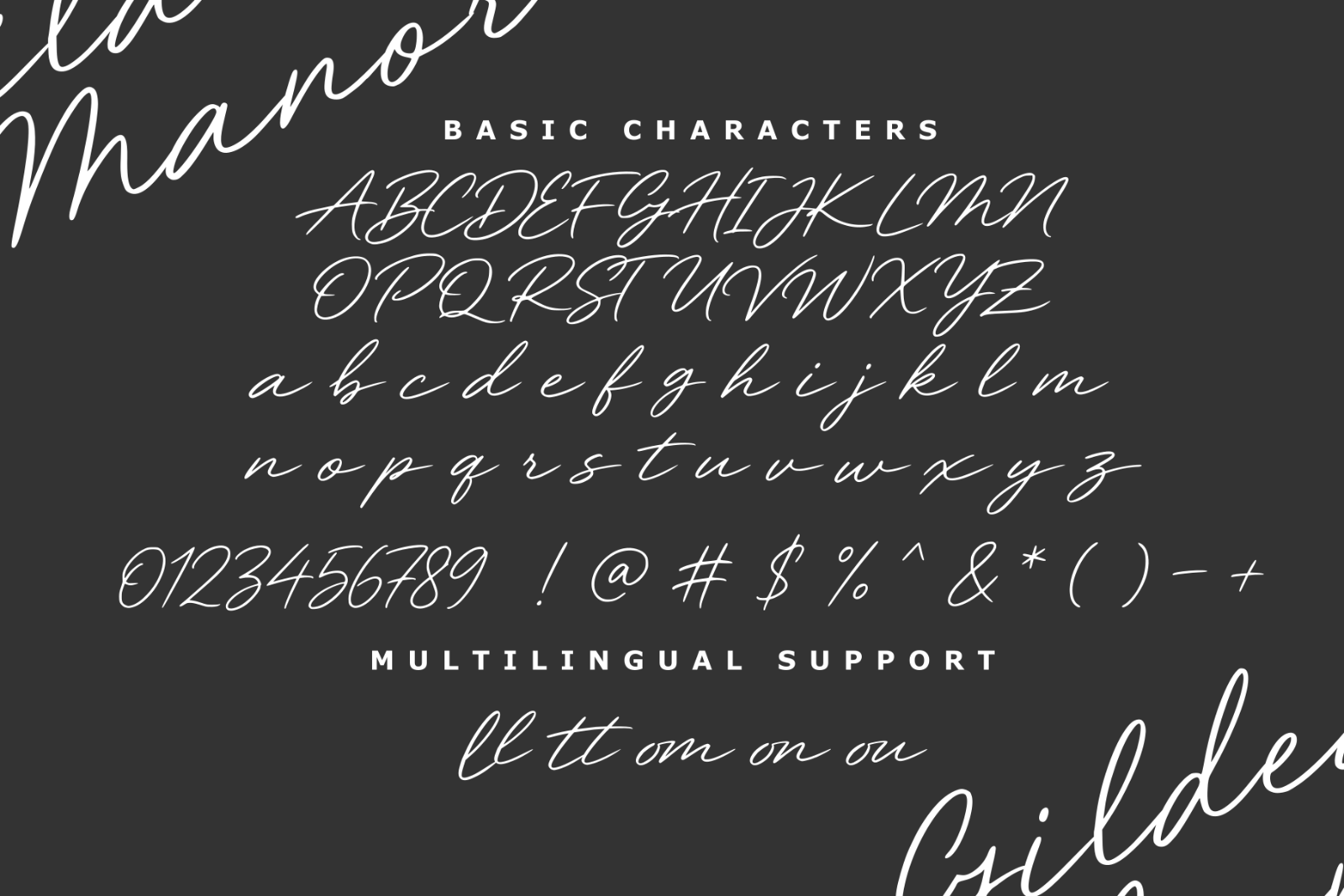 Gilded Manor - Script Style — image 6