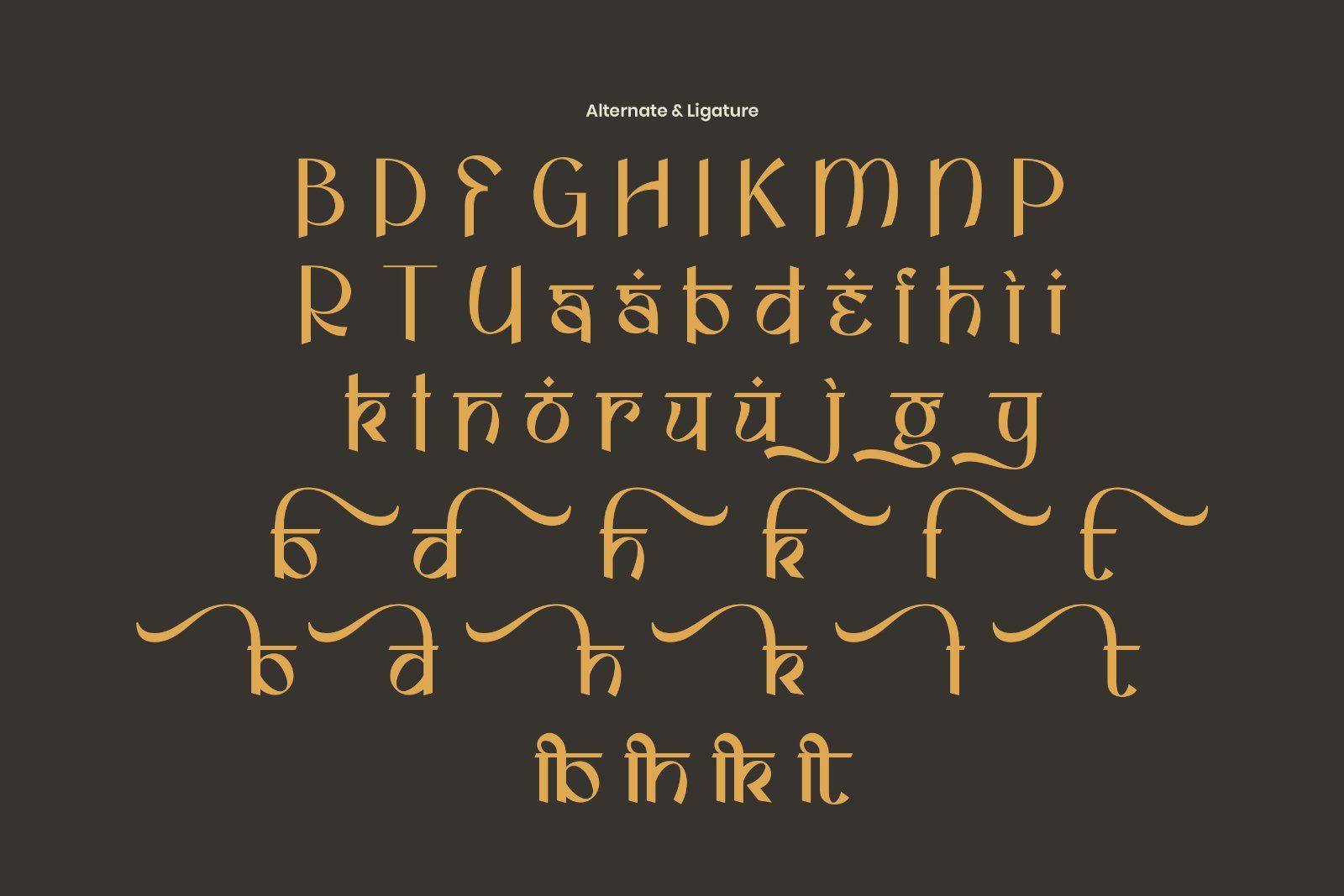 Amisha - Hindi Display Font — image 9