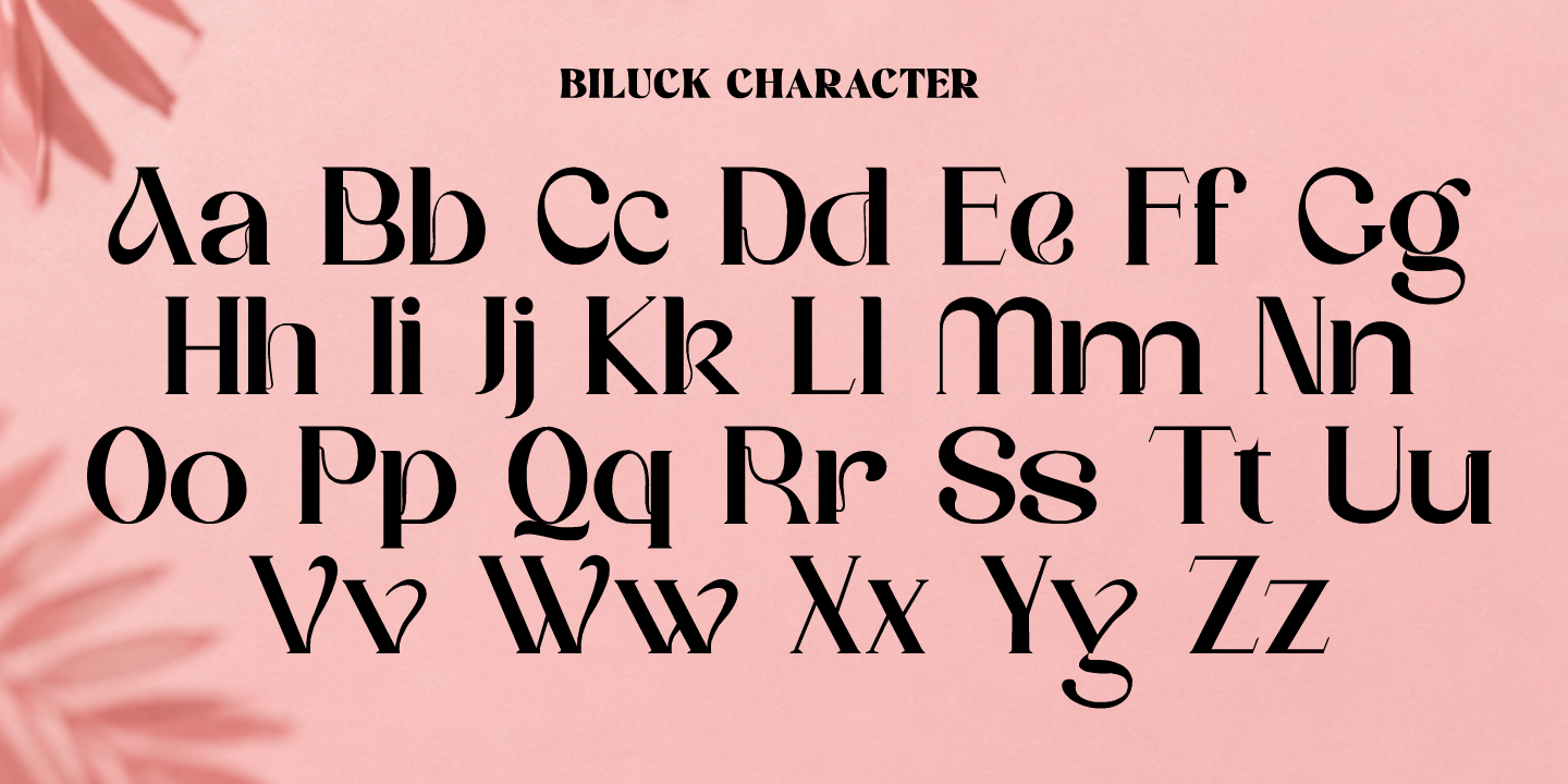 Biluck — image 2