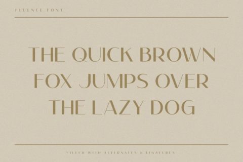 Fluence | Elegant Modern Sans Font