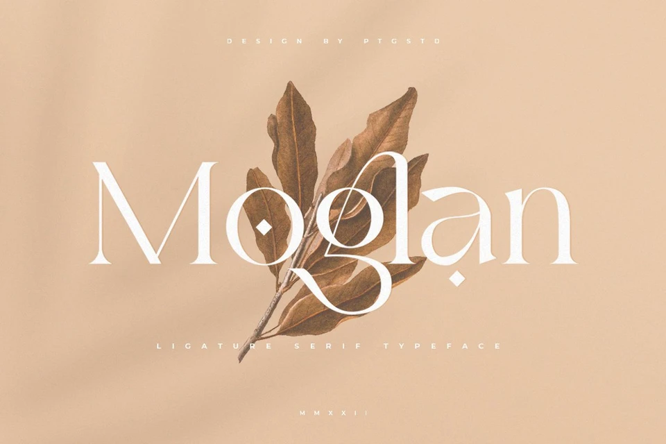 Moglan | Ligature Serif Typeface