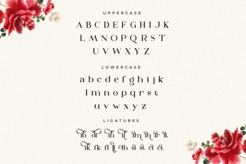 The Dough | Luxury Style Serif Font