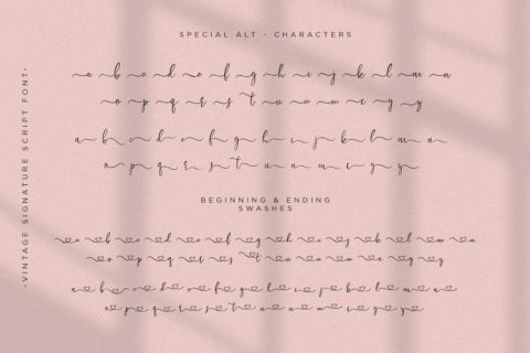 Sweet Bloom | Lovely Script