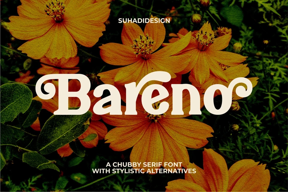 Bareno modern retro serif font