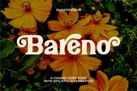 Bareno modern retro serif font