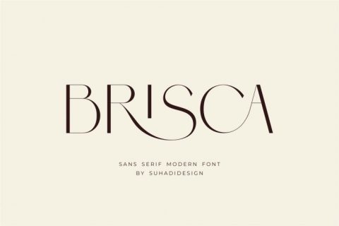 Brisca - Sans Serif Modern Font