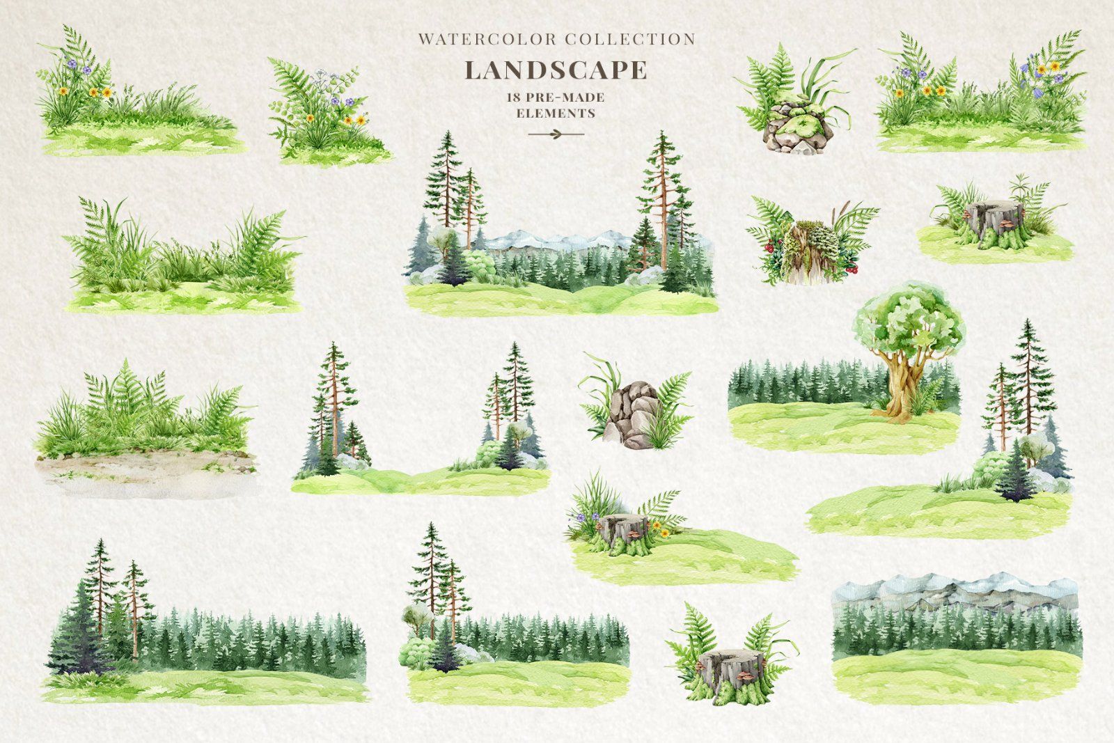 Woodland Animals Watercolor Clipart — image 17