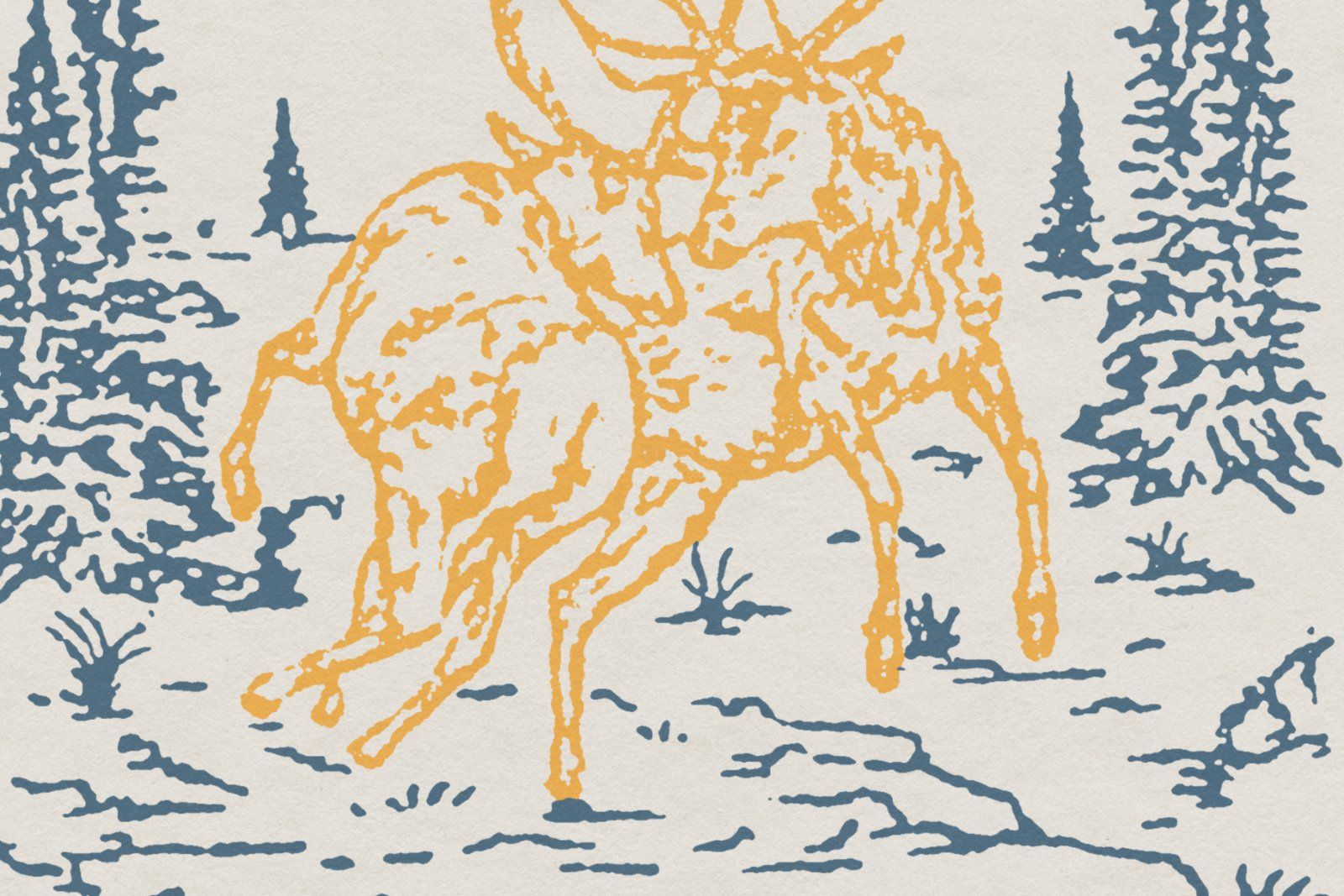 Stay Untamed – Vintage Deer Illustrations — image 2