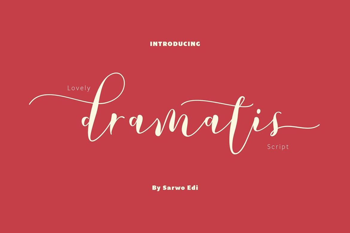 Commercial Font Bundle by Saffatin Co